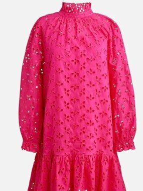 NWT J. Crew Pink Eyelet Drop Waist Dress